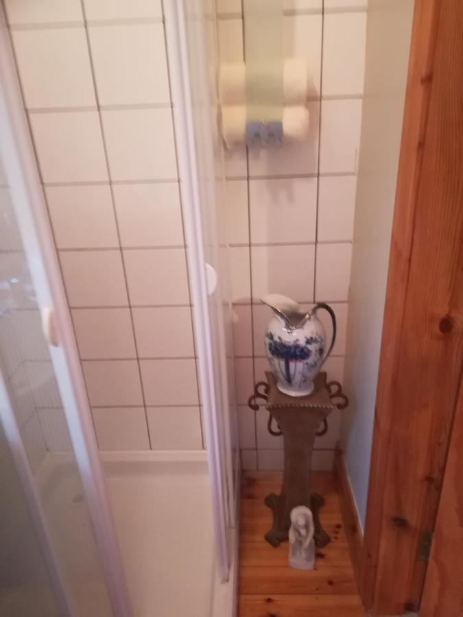Stay With Your Pet Κιλάρνεϊ Εξωτερικό φωτογραφία
