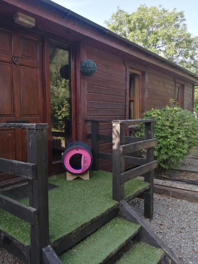 Stay With Your Pet Κιλάρνεϊ Εξωτερικό φωτογραφία